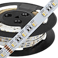 ROBUS, VEGAS 12W/m, 24V, 60LED/m, LED Strip Light, RGBW + White 4000K, IP20, 30m-*Priced Per m*